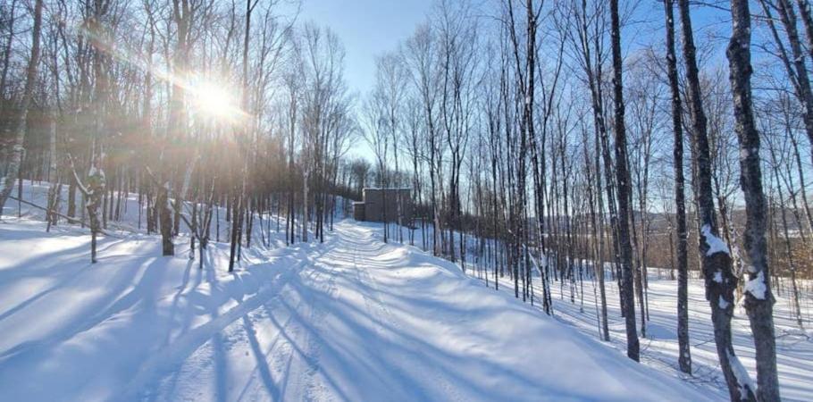 Chalet Serenity - Mont Tremblant Ski - Spa Sauna Wifi Tv Privet Chic Modern House Villa La Conception Exterior photo
